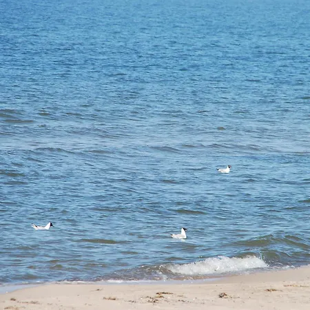 Domyletnie 8e Dom 86m2 Z Ogrodzona Dzialka Vakantiehuis Sarbinowo