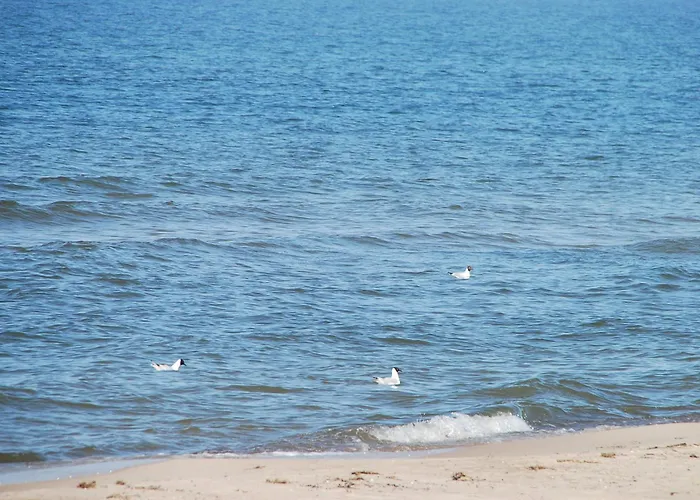 Domyletnie 8e Dom 86m2 Z Ogrodzona Dzialka Semesterbostad Sarbinowo